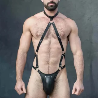 Harnesses