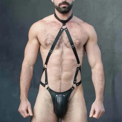 Harnesses