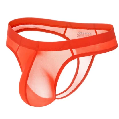 Men's Bulge Pouch Sheer Thong - Image 6