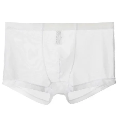 Transparent Soft Boxer Brief - Image 4