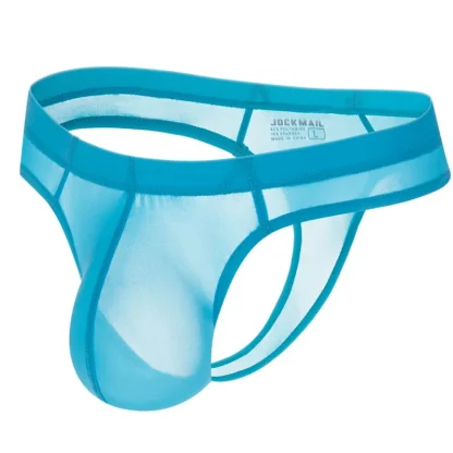 Men's Bulge Pouch Sheer Thong