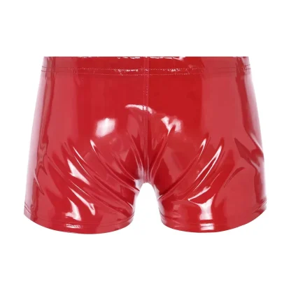 Zip Crotch Glossy Boxer Brief - Image 7