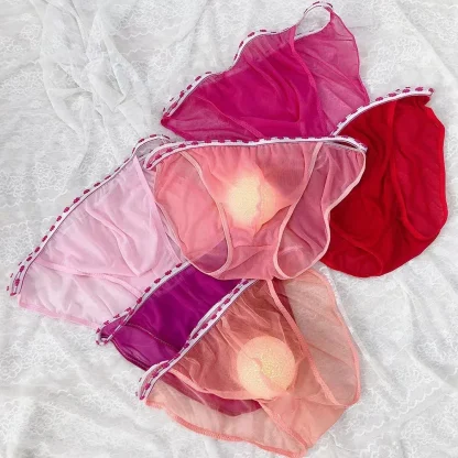 Sexy See-through Mesh Panties - Image 7