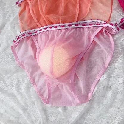 Sexy See-through Mesh Panties - Image 2