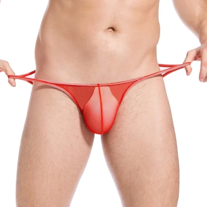 Ultra-thin Low-rise Mesh Panty - Image 7
