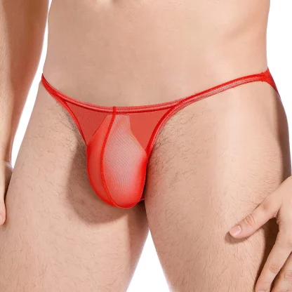 Ultra-thin Low-rise Mesh Panty - Image 9