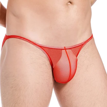 Ultra-thin Low-rise Mesh Panty - Image 6