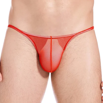 Ultra-thin Low-rise Mesh Panty - Image 8