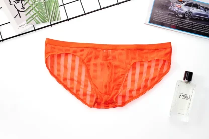 Transparent Sexy Striped Brief - Image 10