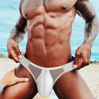 Sheer Mesh Bulge Pouch Brief - Image 2