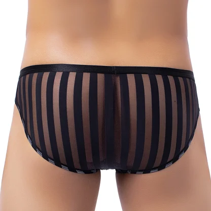 Transparent Sexy Striped Brief - Image 4