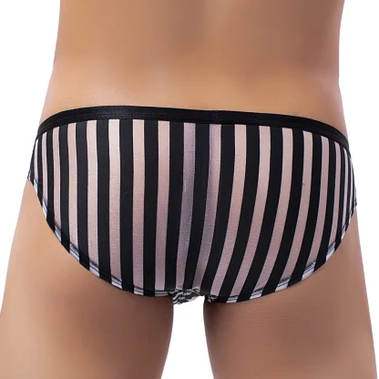 Transparent Sexy Striped Brief - Image 7