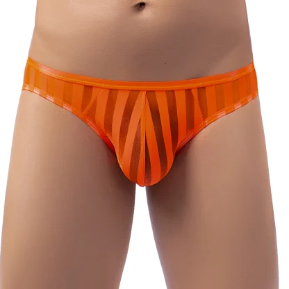 Transparent Sexy Striped Brief