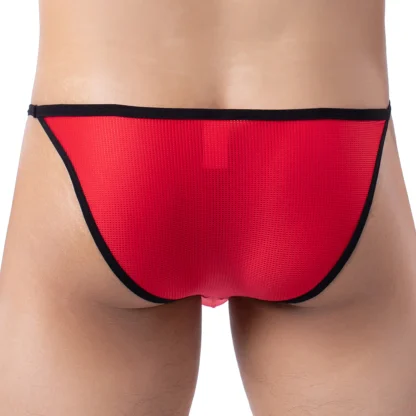 Low Waisted Casual Mesh Brief - Image 5