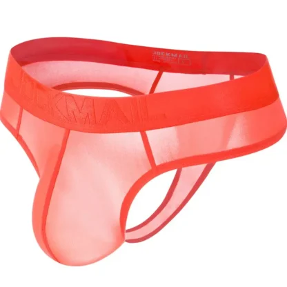 Soft Breathable Semi-transparent Brief - Image 6